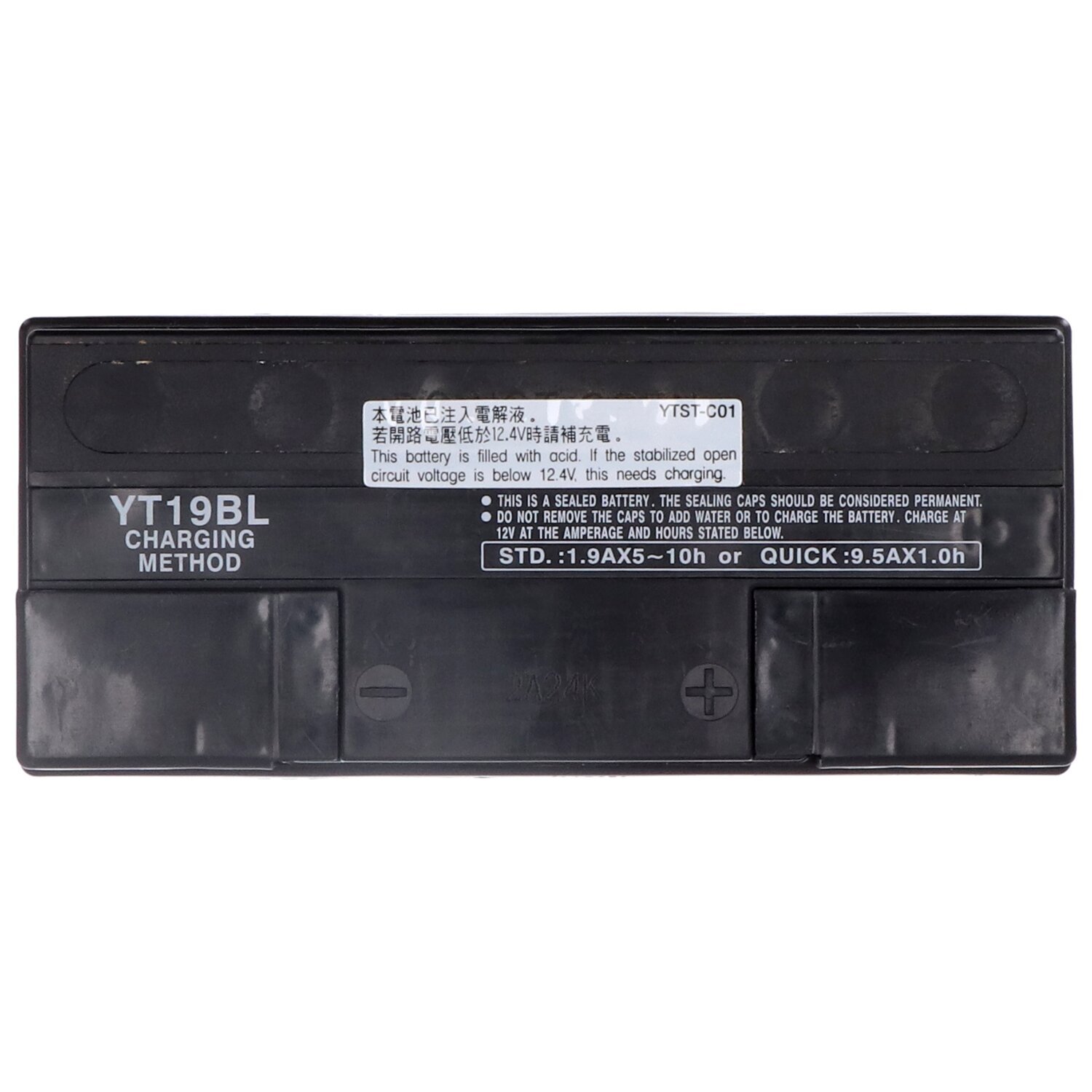 Yuasa, AGM battery, YT19BL-WC