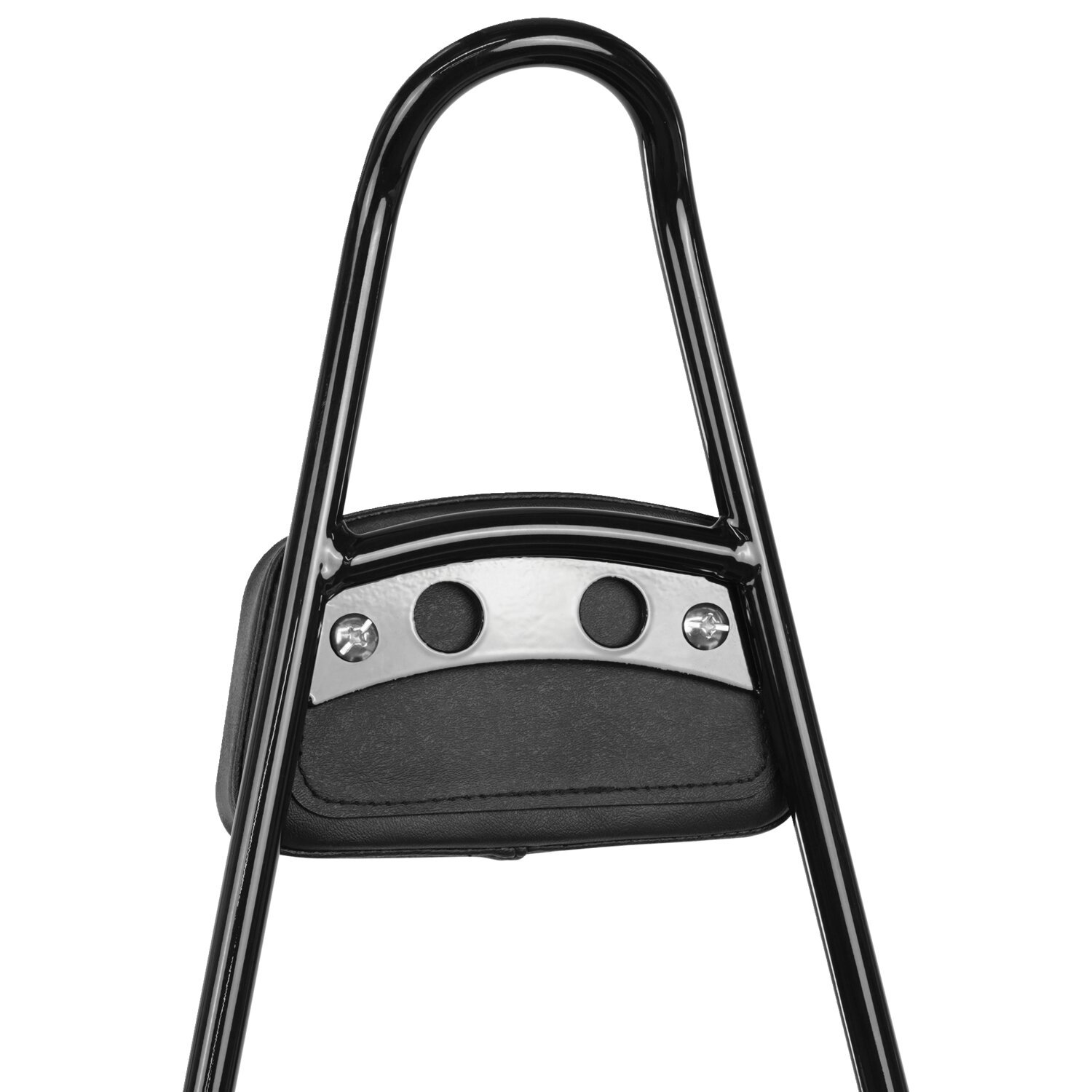 Burly, tall sissy bar with pad