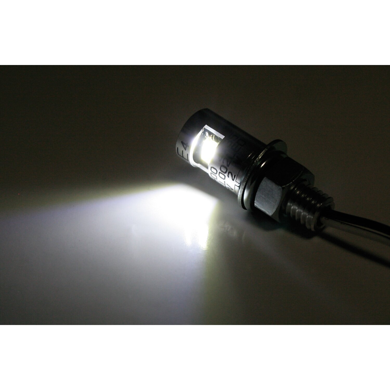 Burdett, LED license plate mount bolt, Chrome
