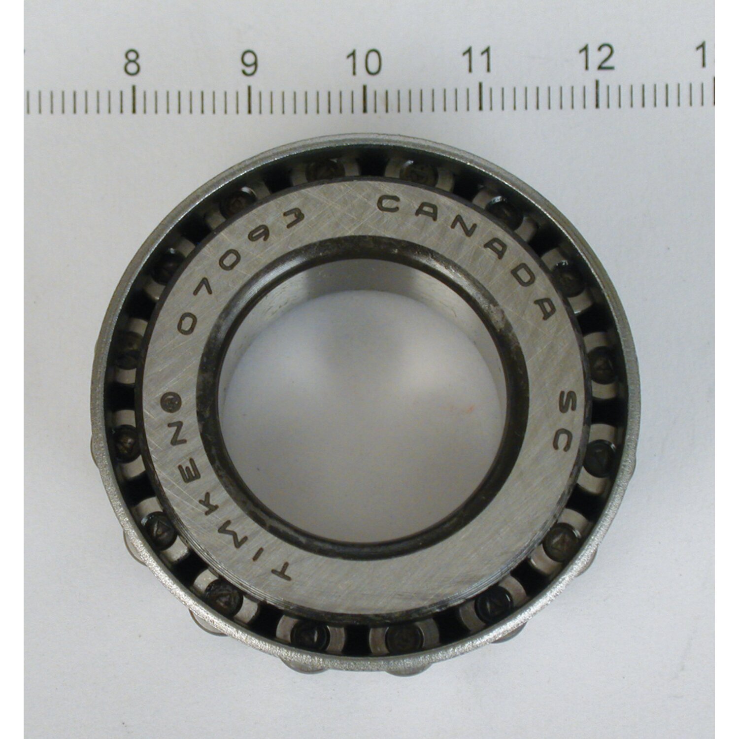 Frame cup bearing. XL Sportster