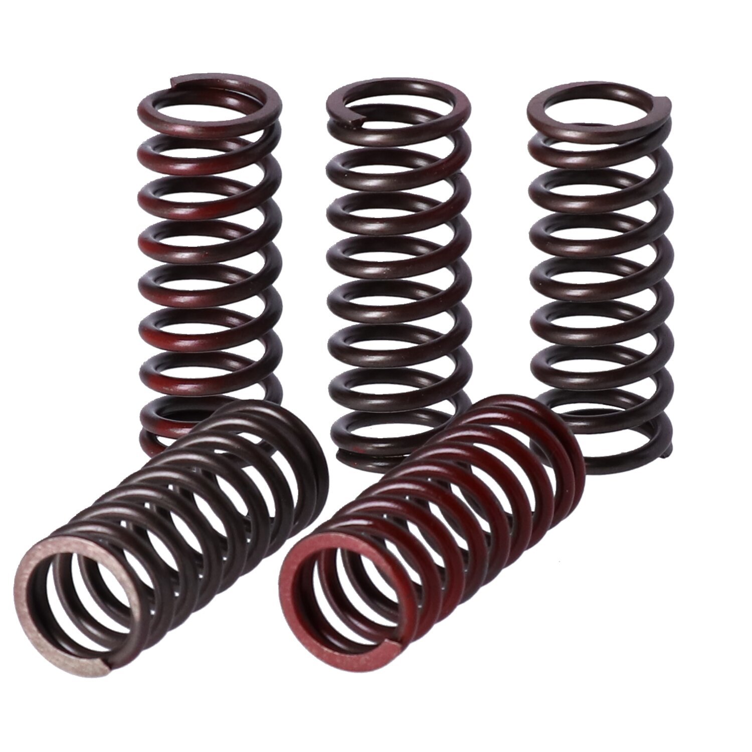 TRW clutch spring kit