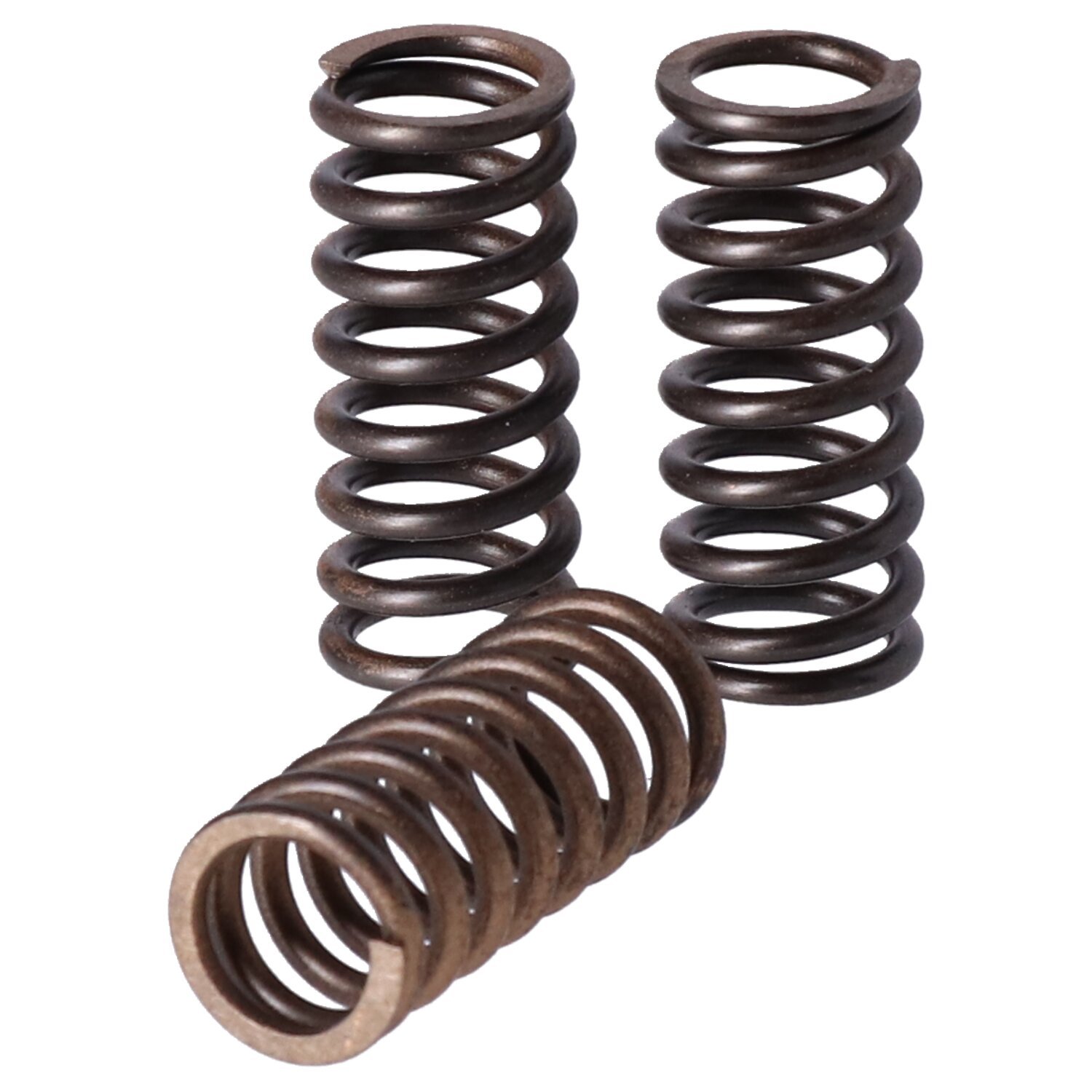 TRW clutch spring kit