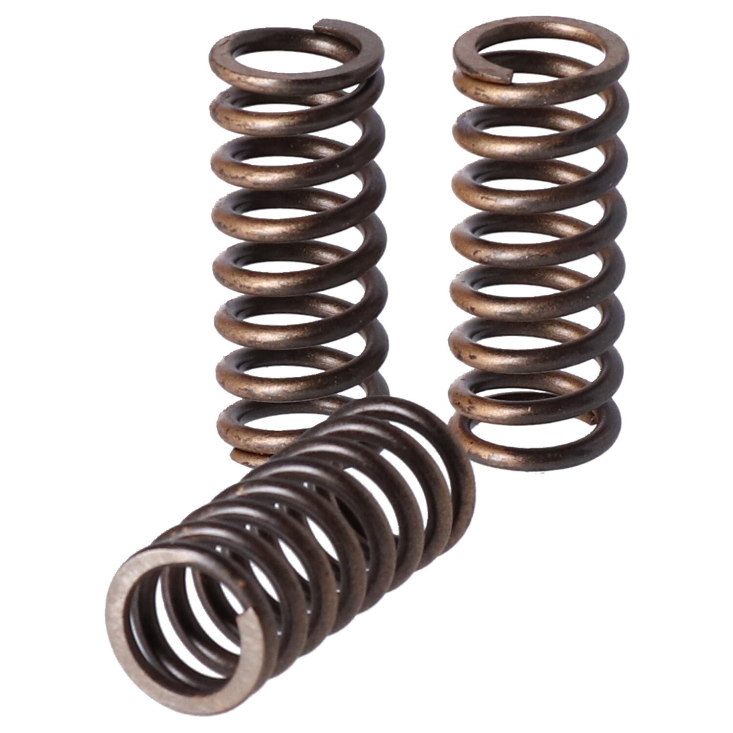 TRW clutch spring kit