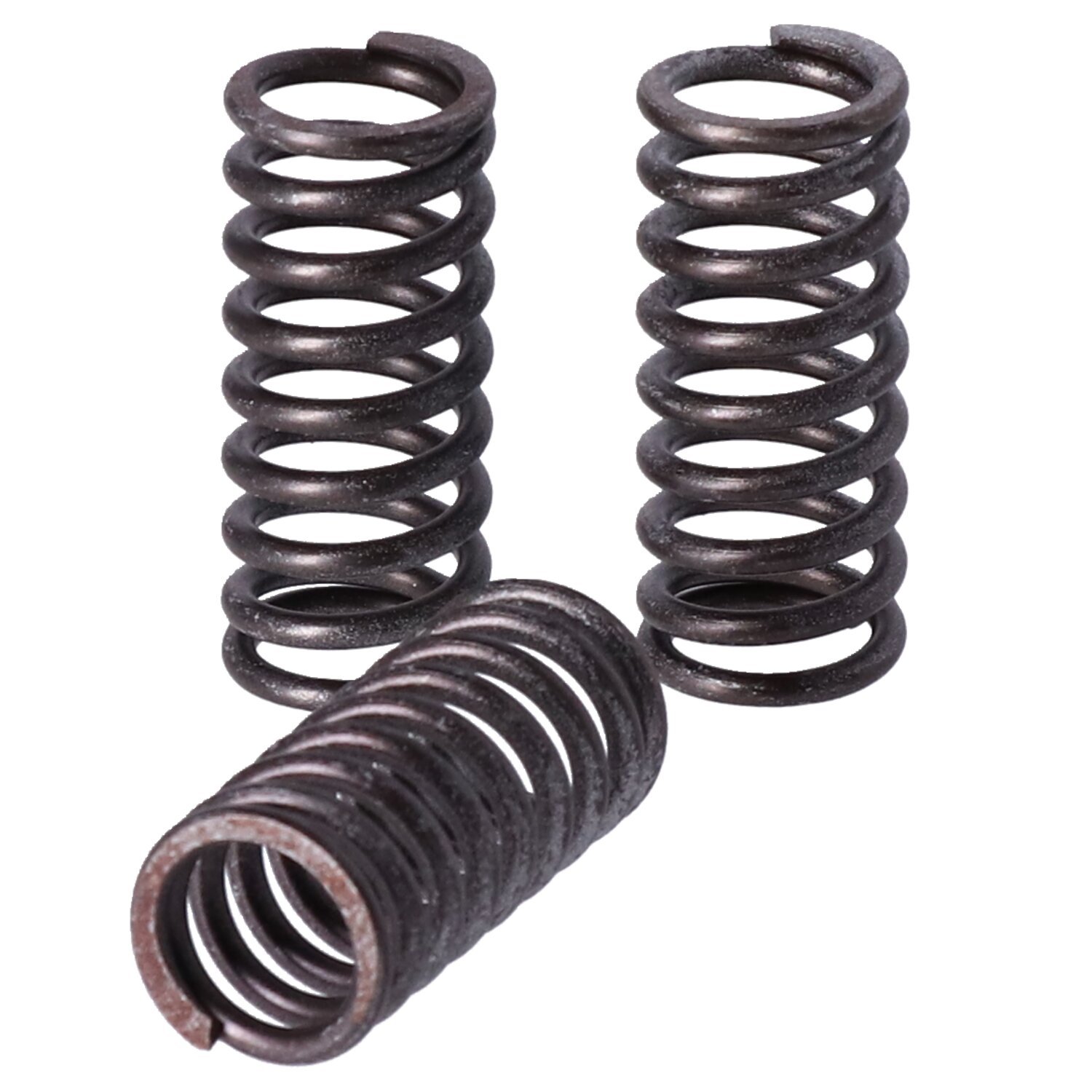TRW clutch spring kit