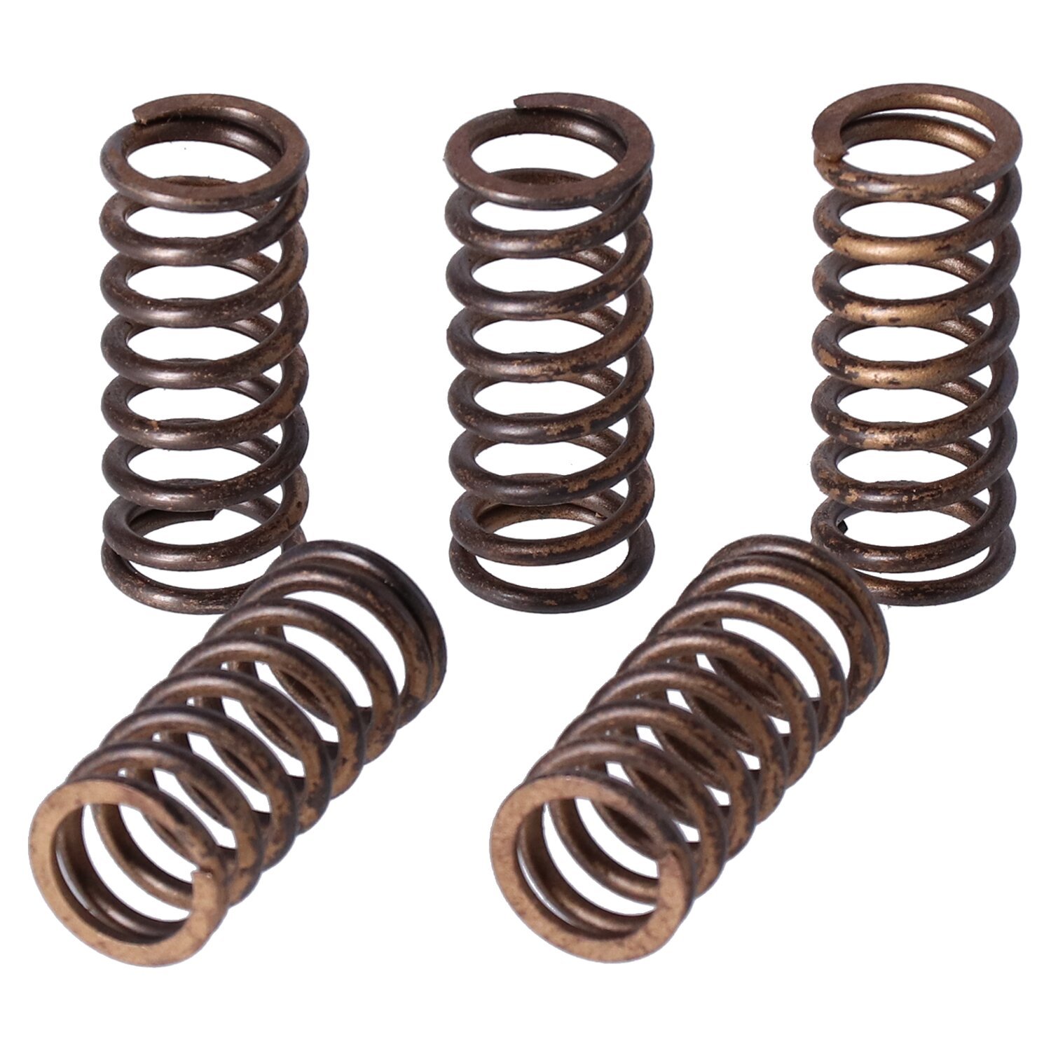 TRW clutch spring kit