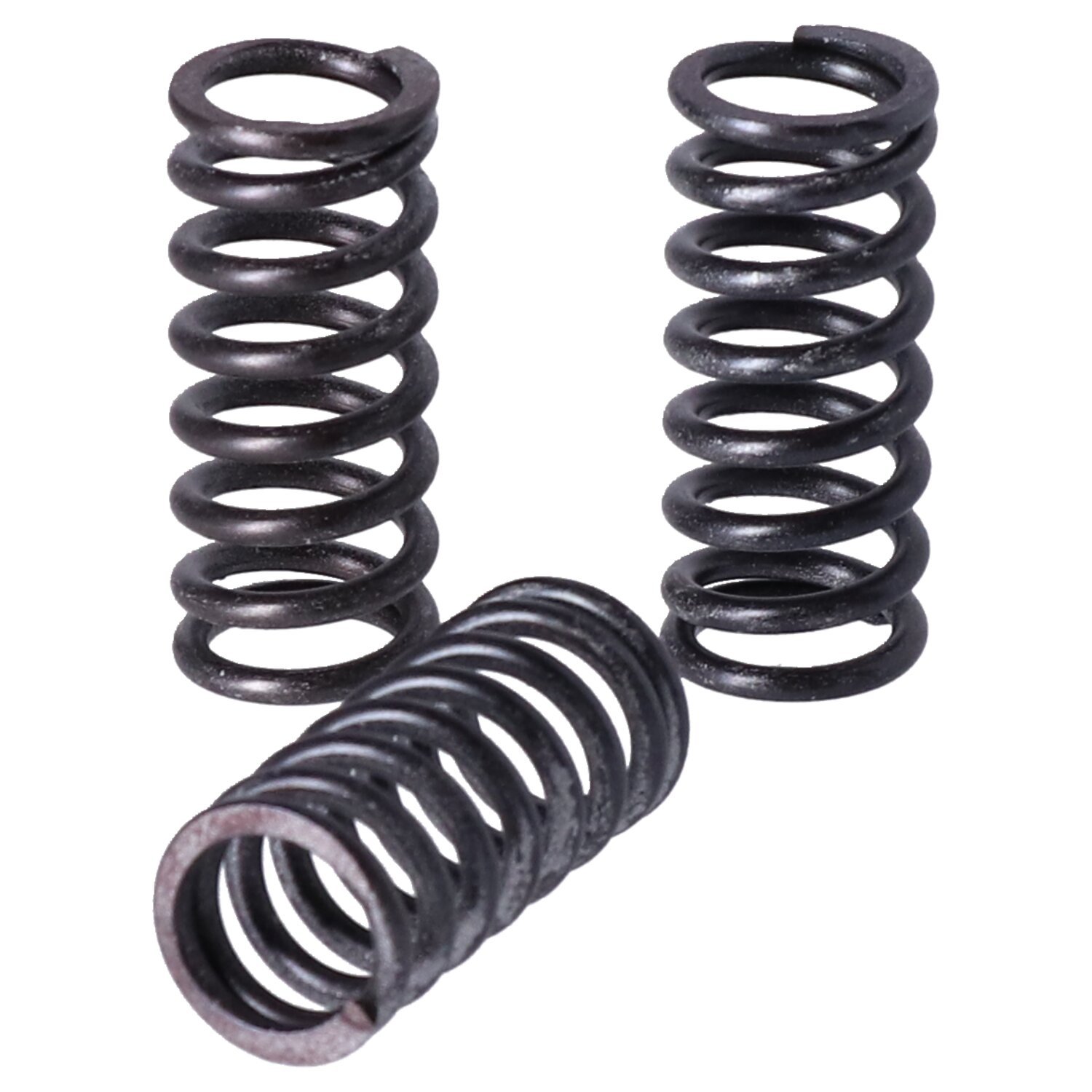 TRW clutch spring kit
