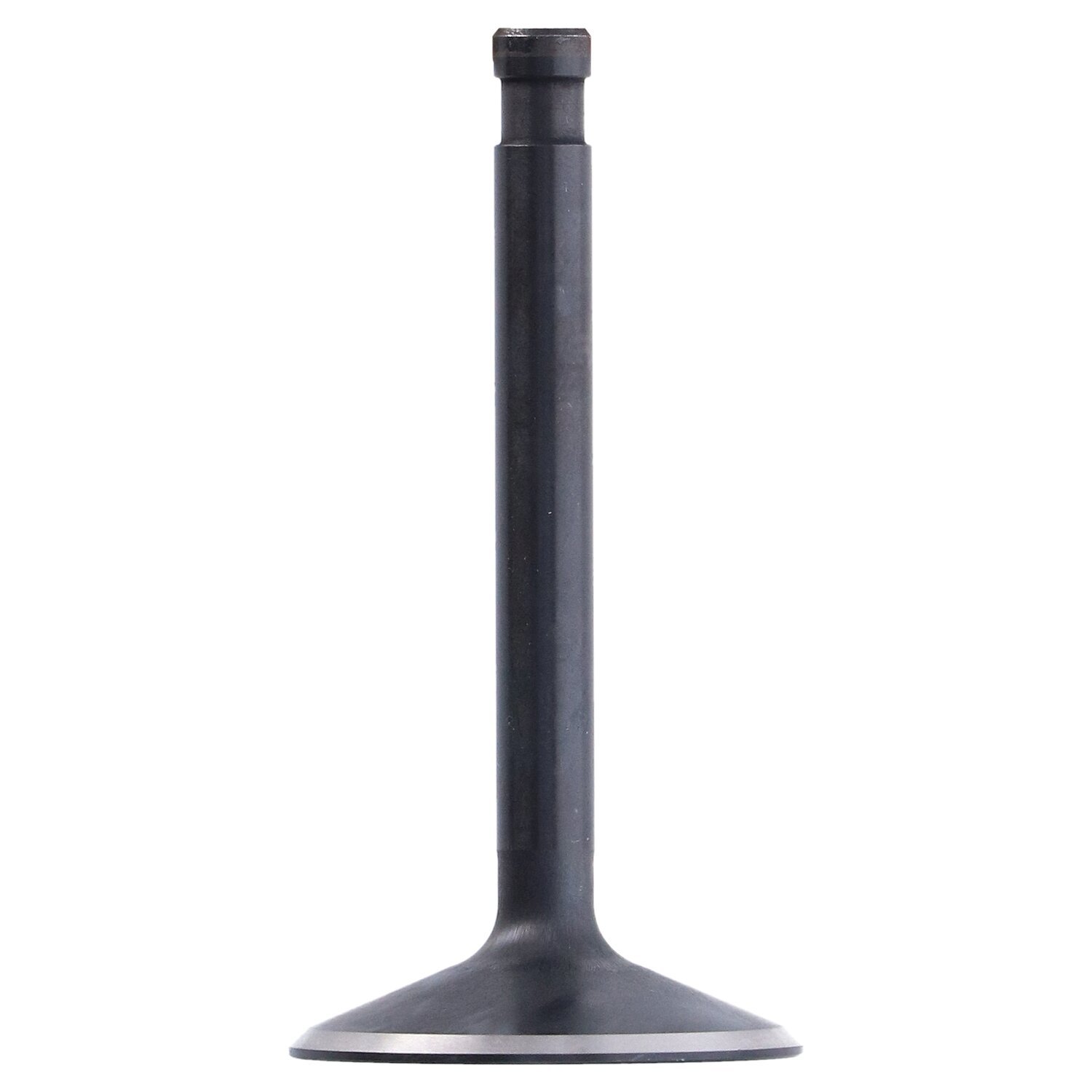 S&S, intake valve. 1.950" diameter