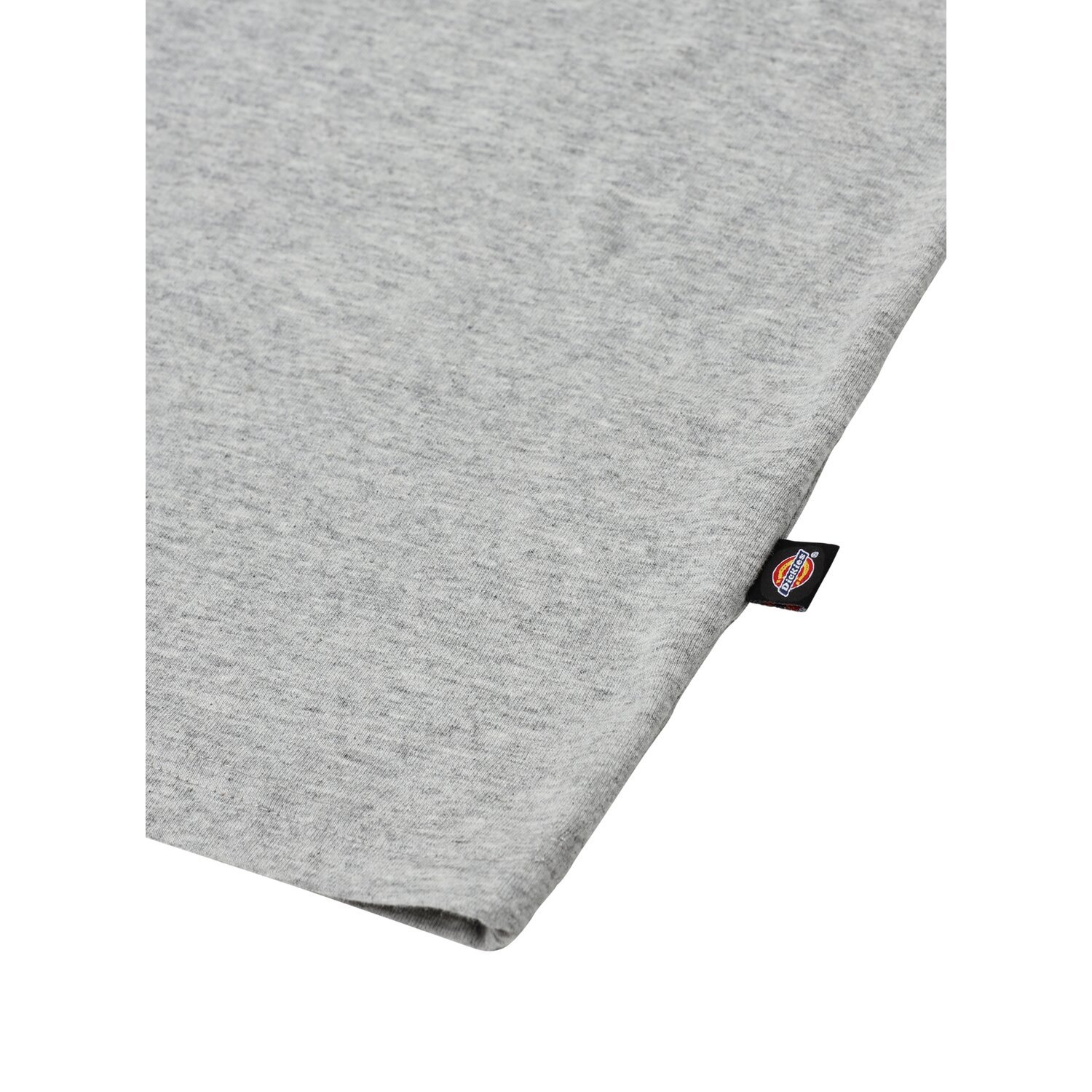 Dickies Mapleton t-shirt