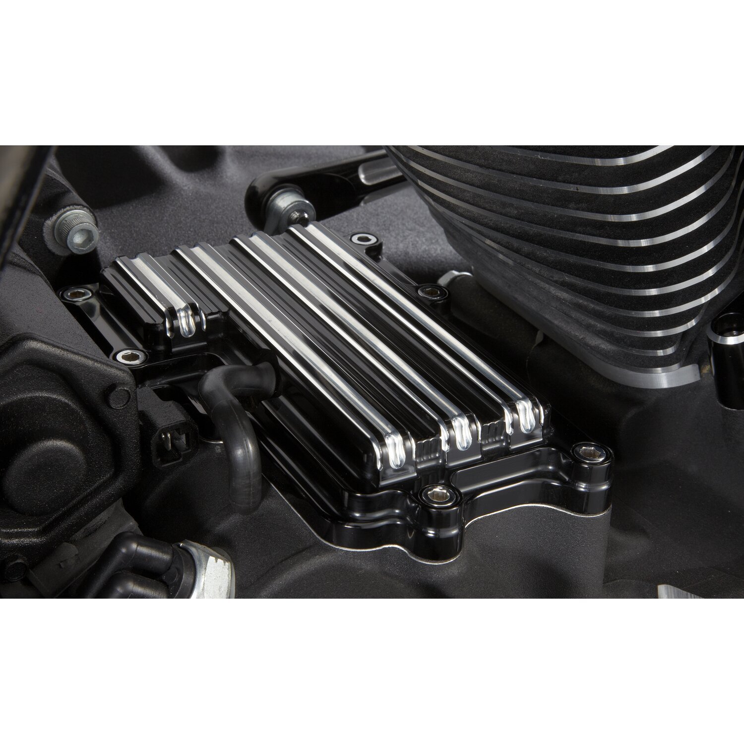 Arlen Ness, 10-gauge transm. top cover, Black, Polished