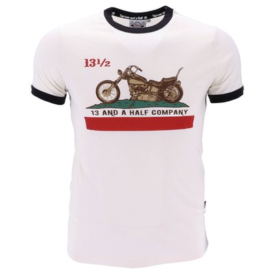 Any resemblance to the flag of California is unintentional. 