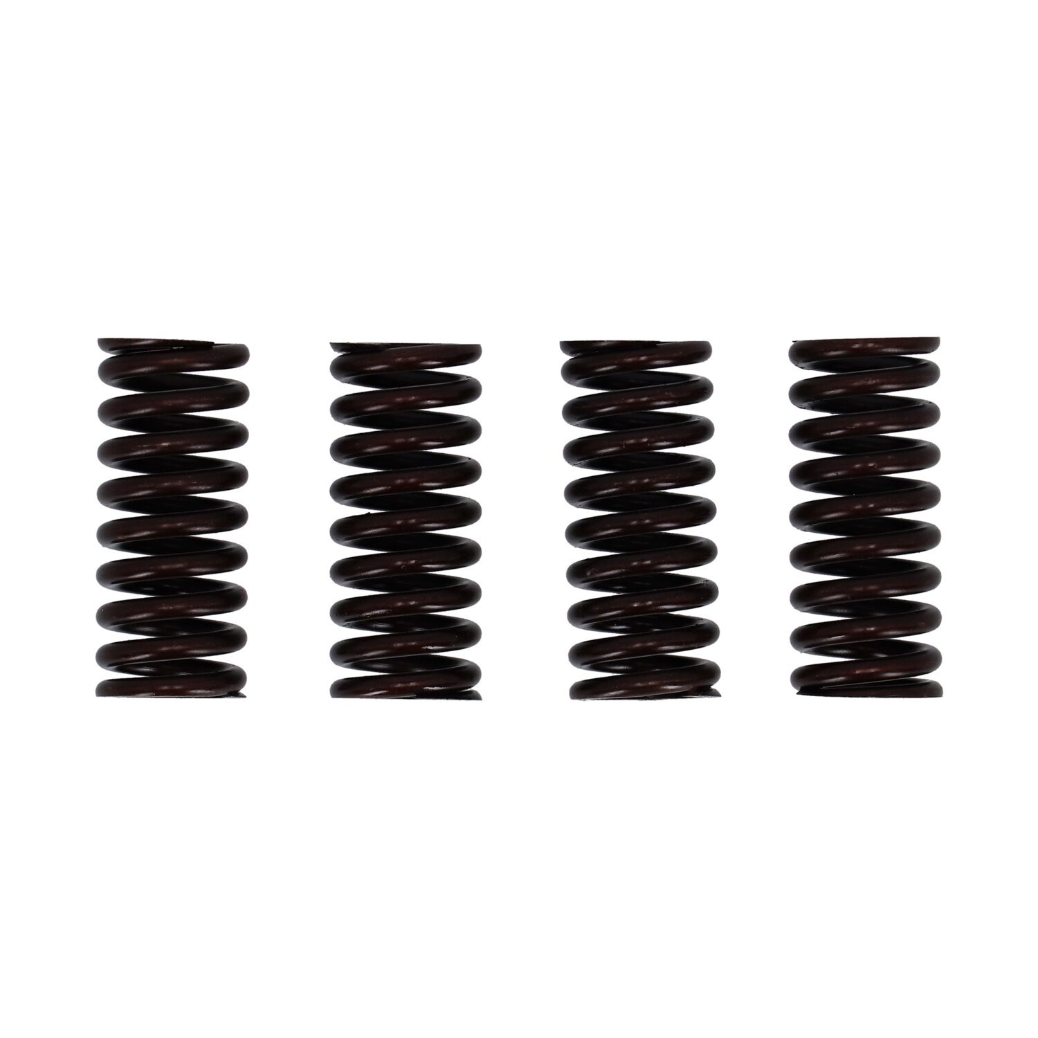 Valve spring set