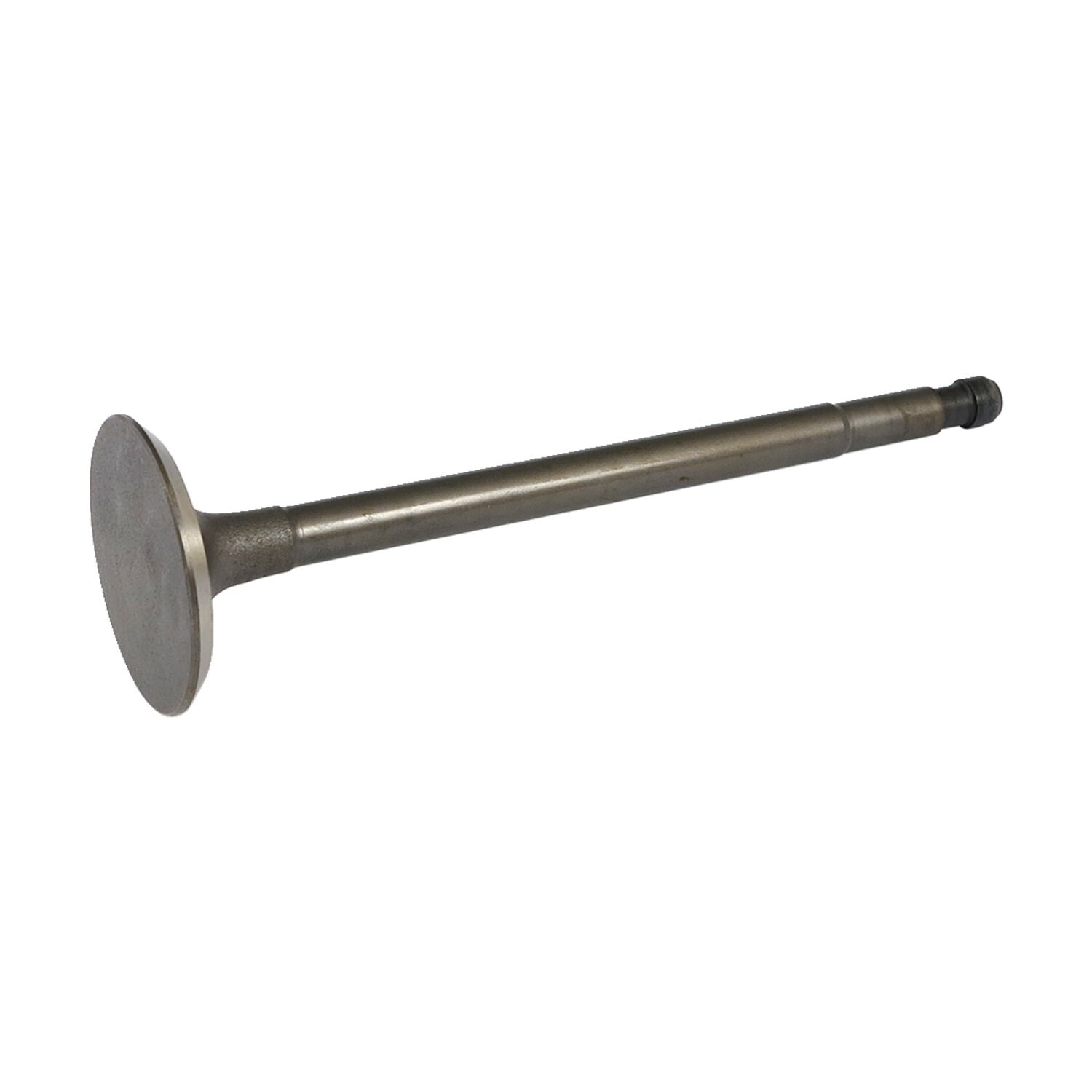 Flathead exhaust valve, stainless
