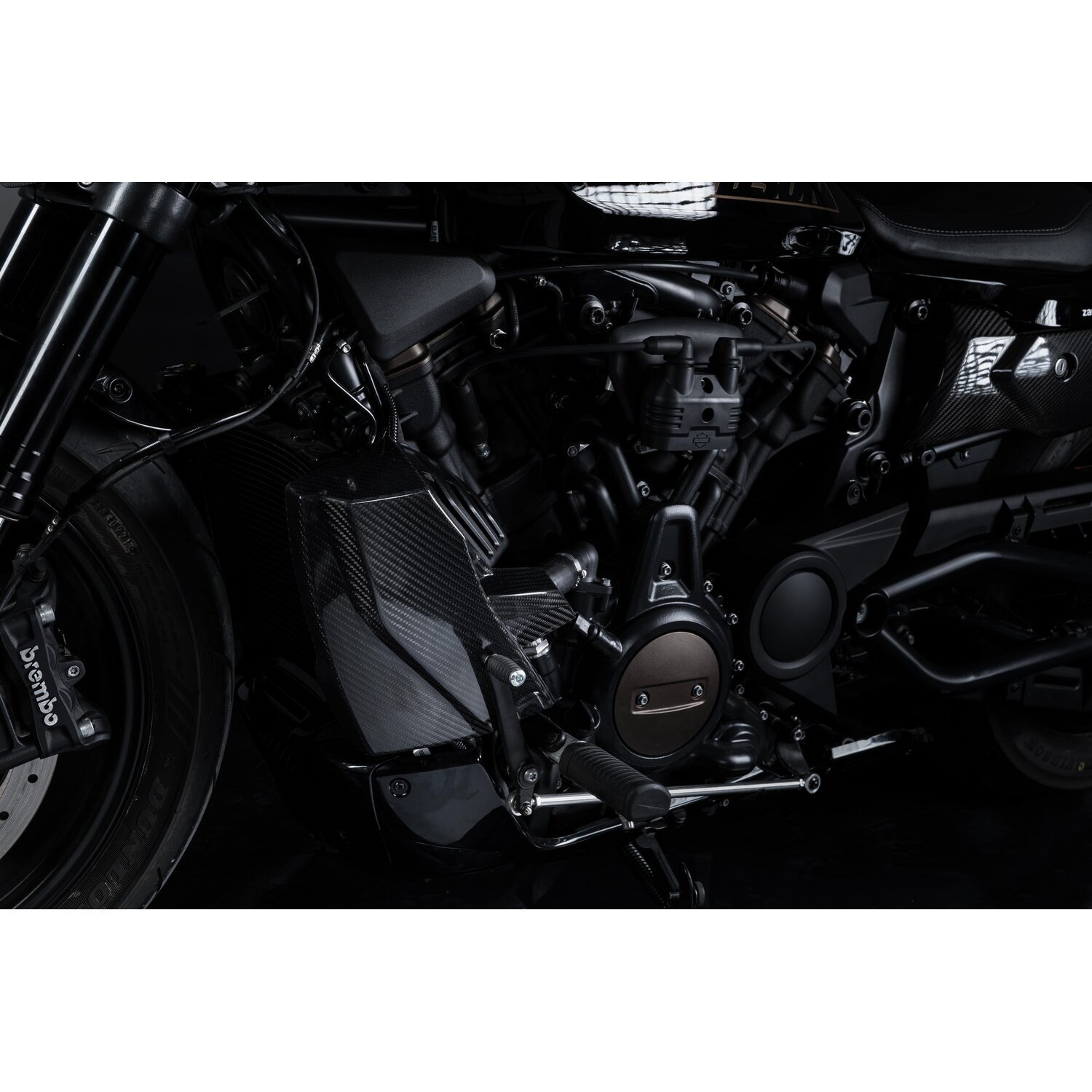 Zard, carbon radiator cover and side panel kit