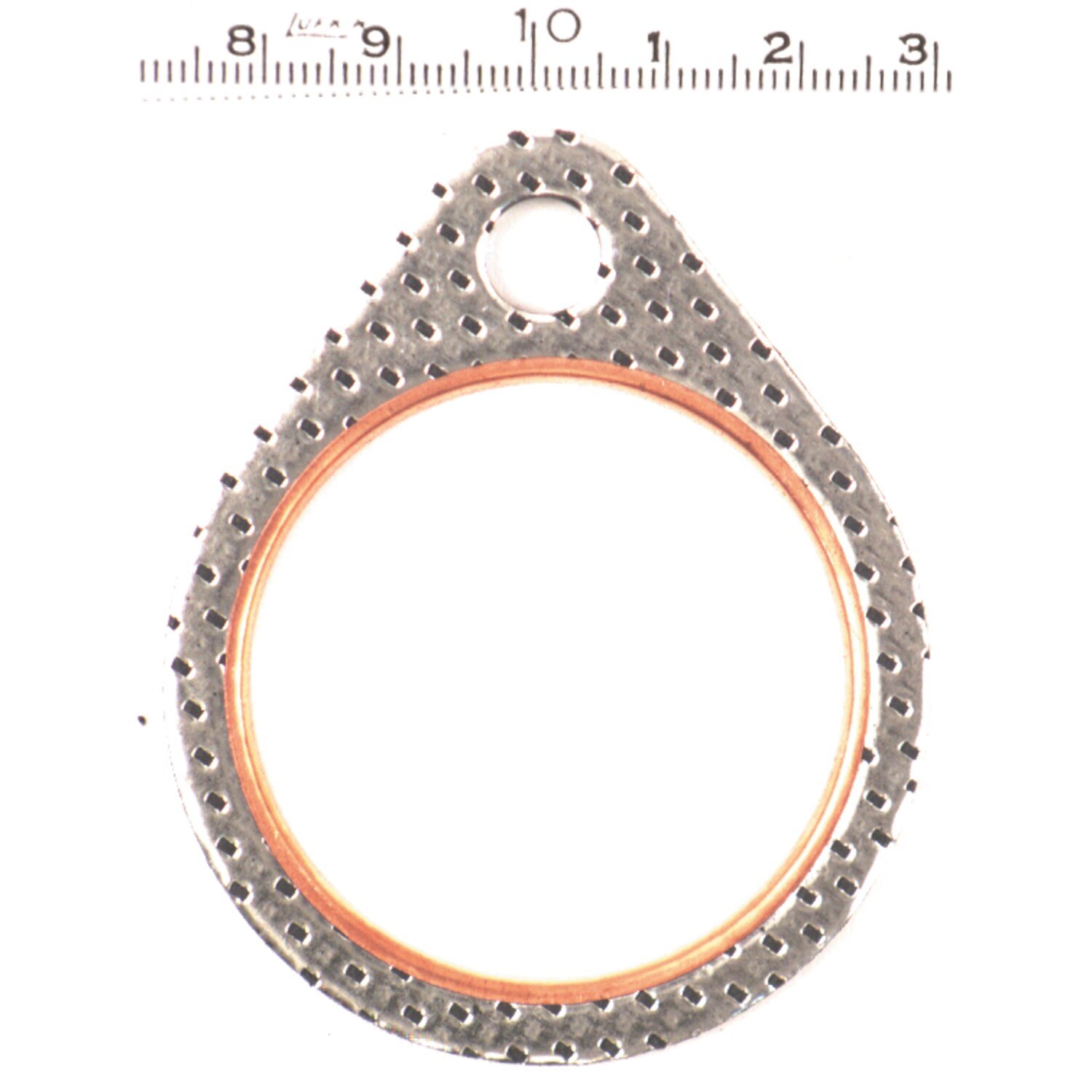 James, steel core exhaust gasket Shovel (10