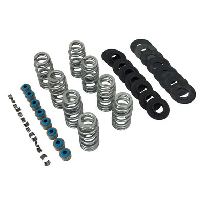 Must reuse OEM steel upper spring collars. 
Installed pressure 134lbs@1.375" (0.405 lift), 103 lbs@1.520" (0.550 lift), coil bind@.920". Direct replacement, installs without machining or rocker box clearancing. High tensile chrome silicone wire with a shot-peened heat treatment and a super NexTex® finish. Kits include springs, lower collars, no upper collars, shims, keys and Viton® seals.