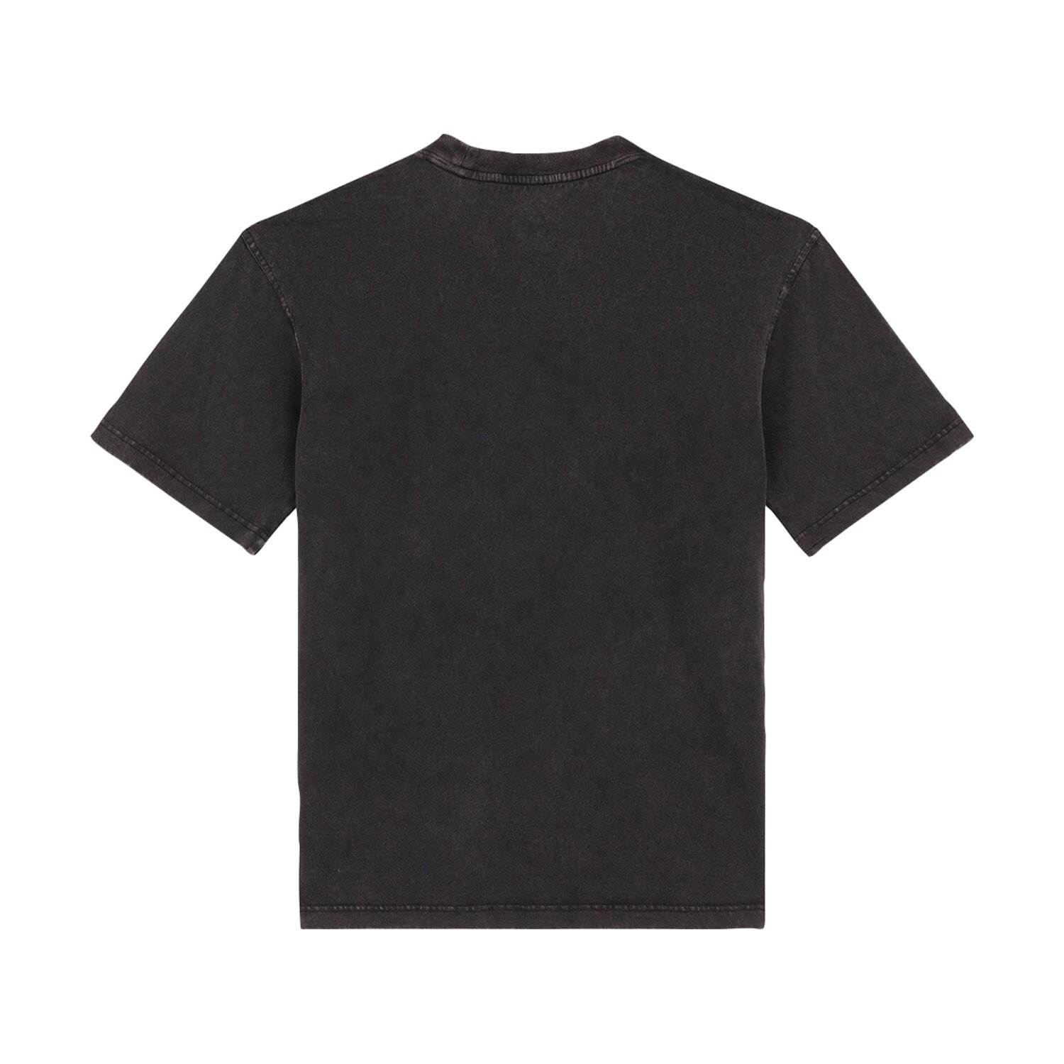 Dickies Plentywood t-shirt