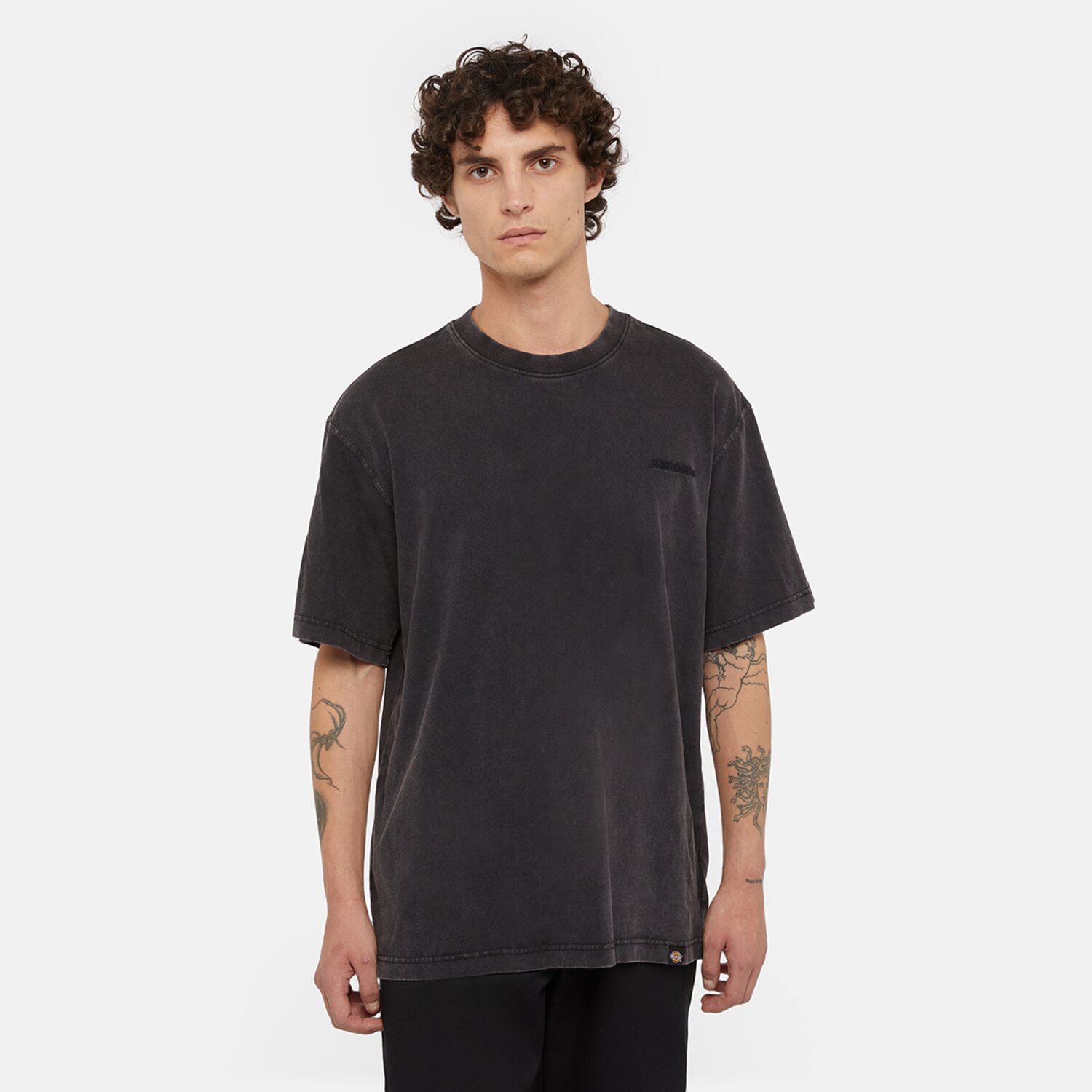 Dickies Plentywood t-shirt