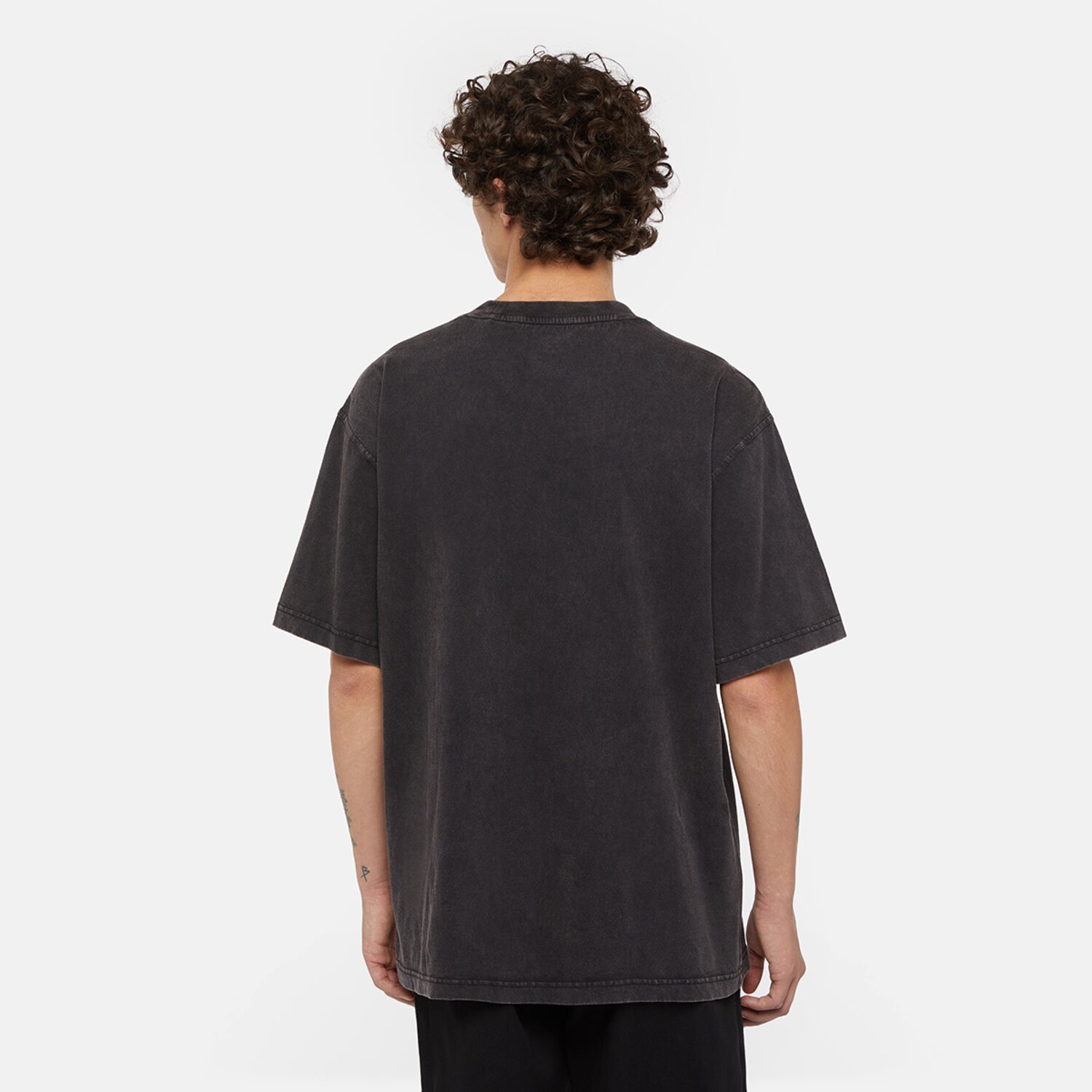 Dickies Plentywood t-shirt