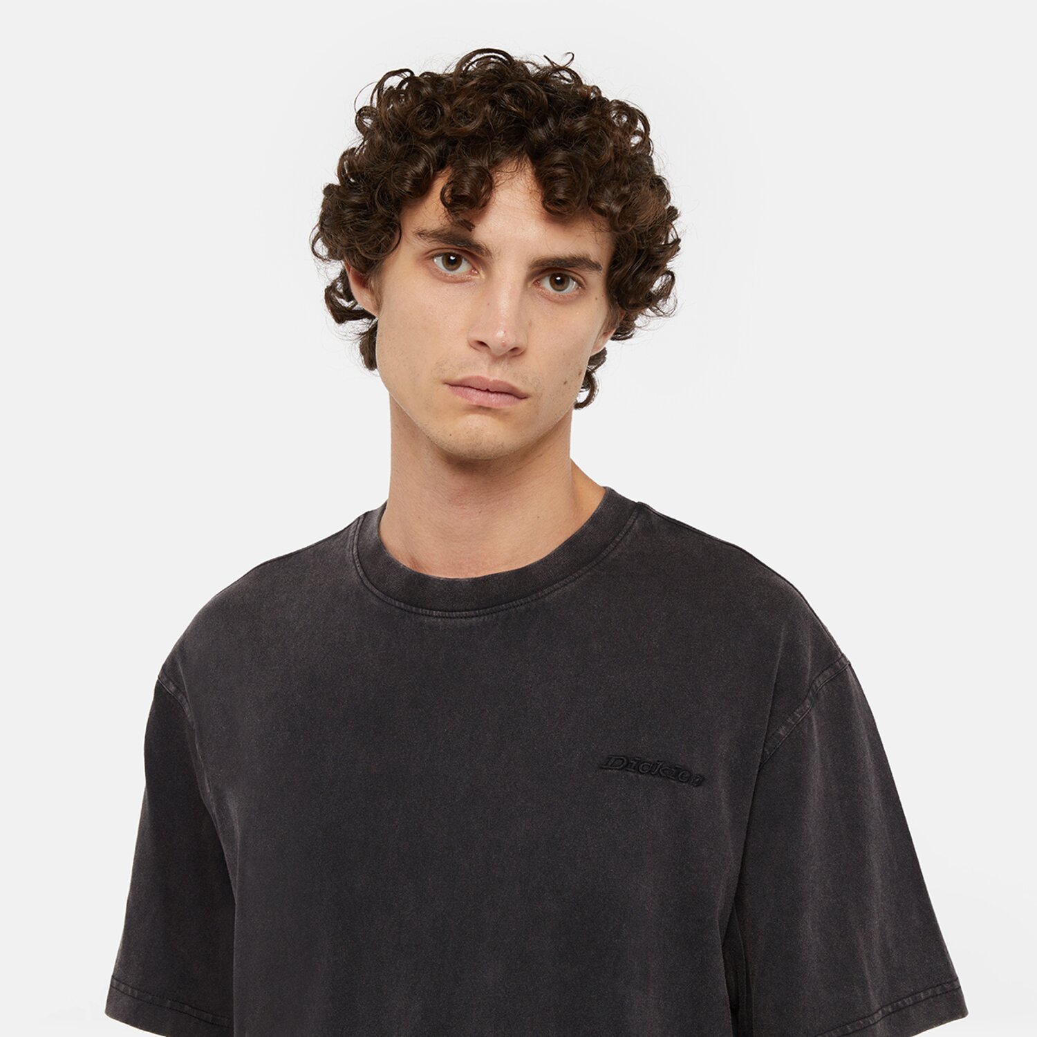Dickies Plentywood t-shirt