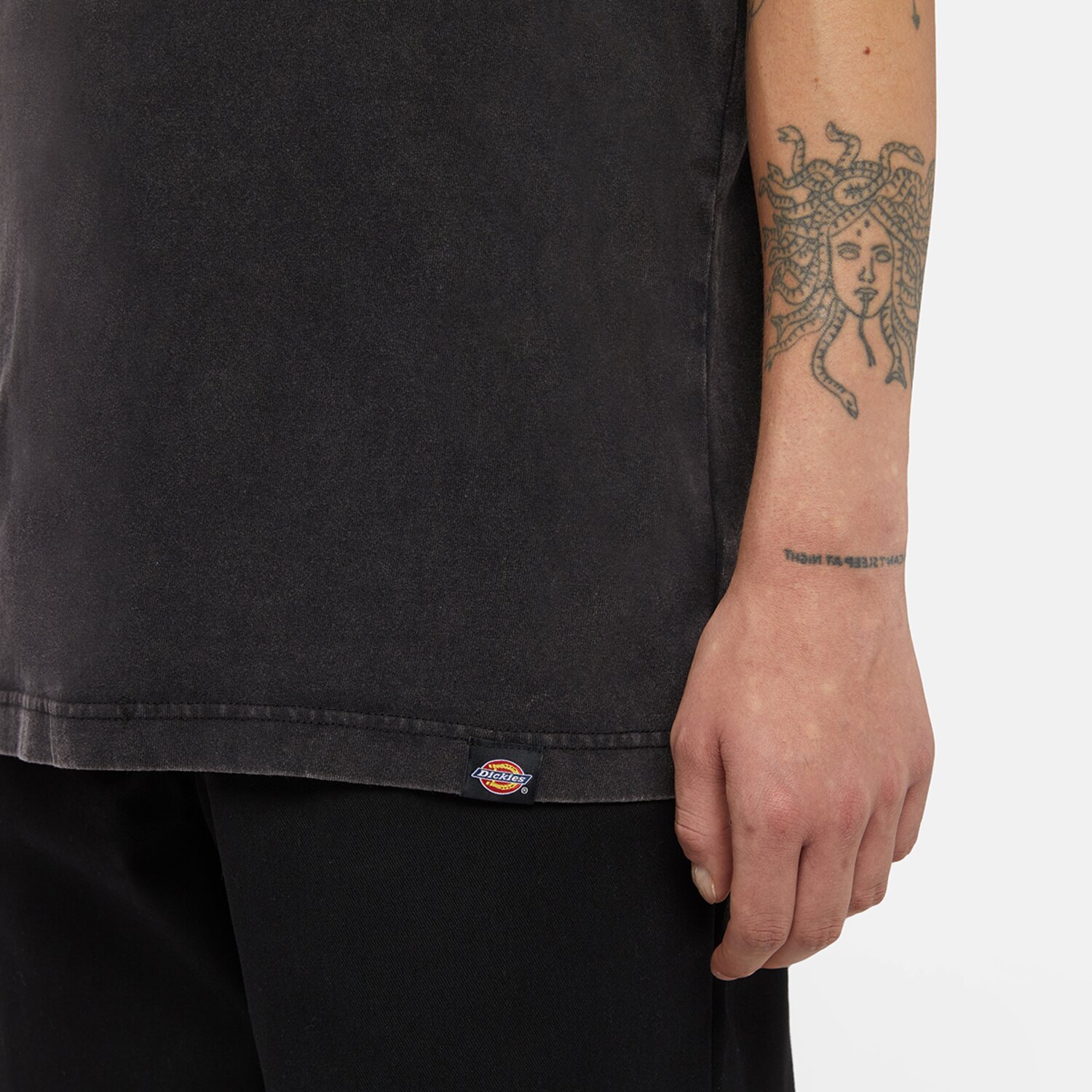 Dickies Plentywood t-shirt