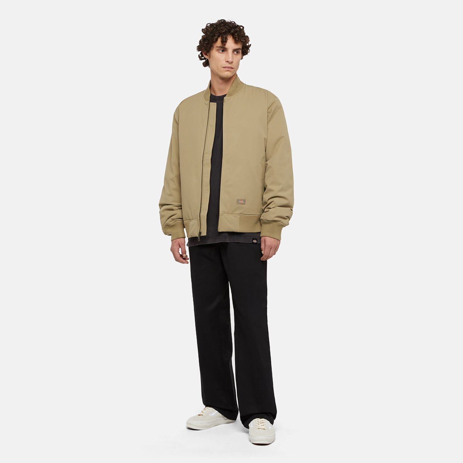 Dickies Plentywood t-shirt