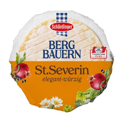 Bild von Schärdinger St. Severin
