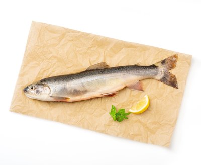 Bild von Ja! Natürlich Bachsaibling