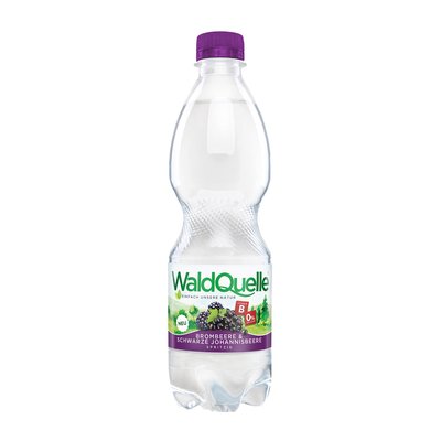 Bild von Waldquelle Brombeere-Schwarze Johannisbeere