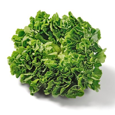 Bild von Endiviensalat