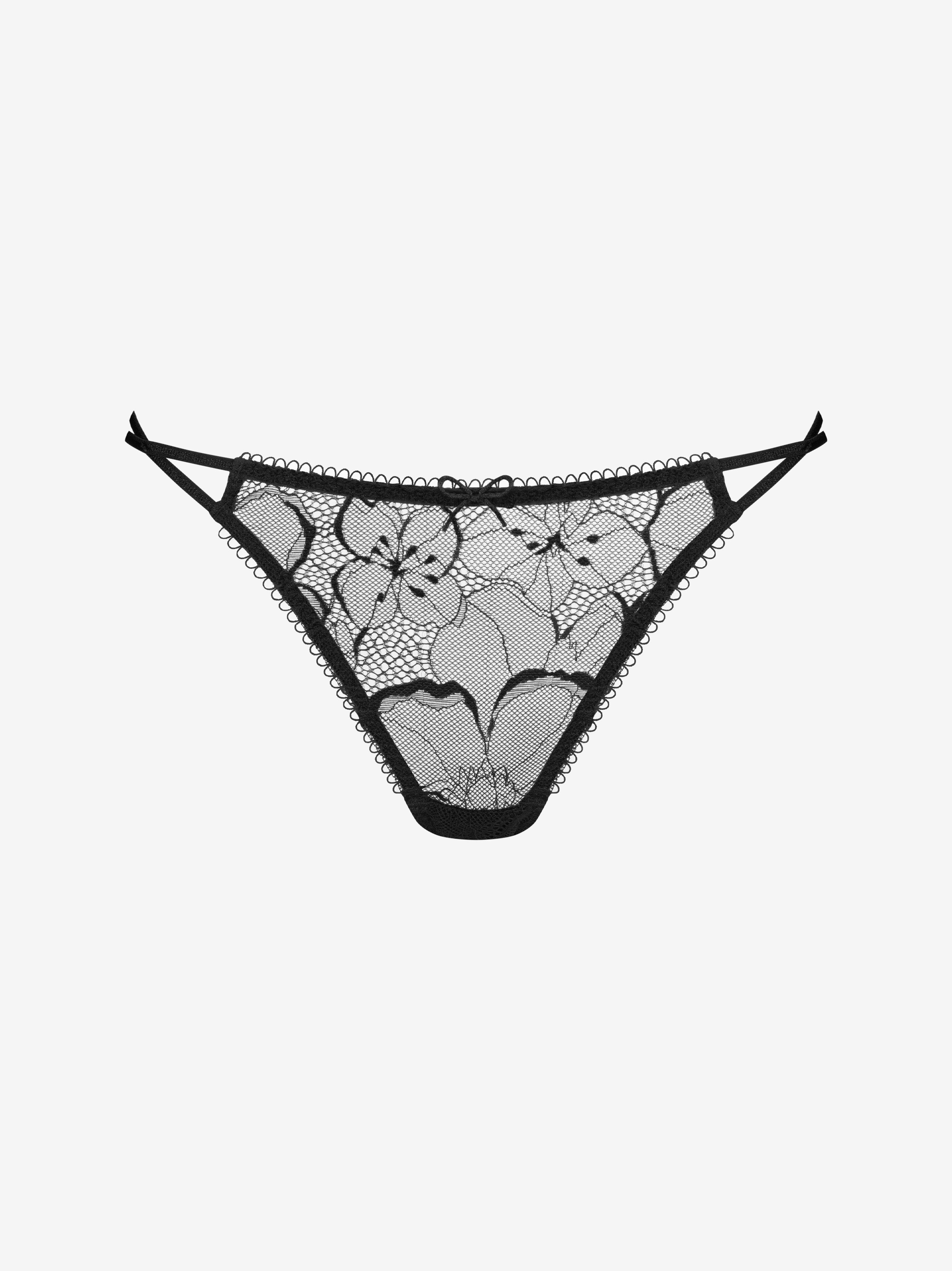 Camellia Mini String