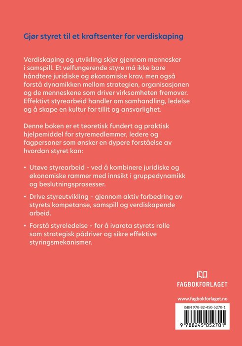 Styrearbeid, styreutvikling, styreledelse – bilde 2