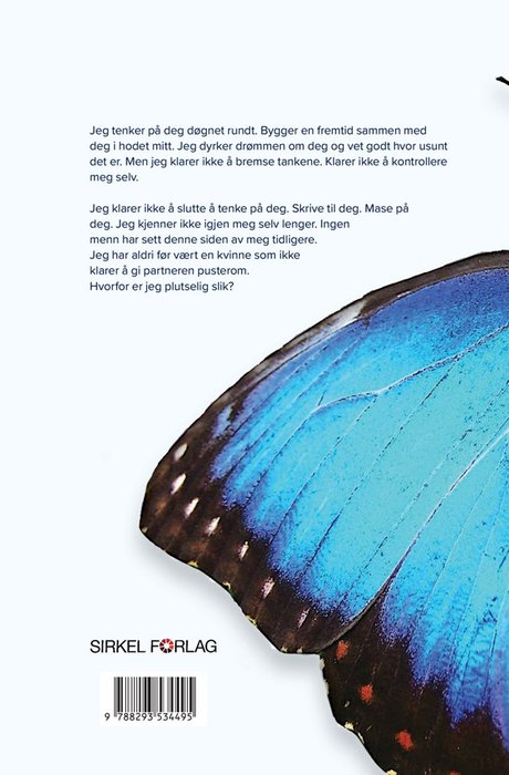 Blå morpho – bilde 2