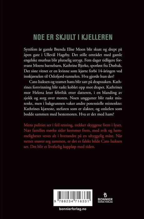 Nattsøsteren – bilde 2