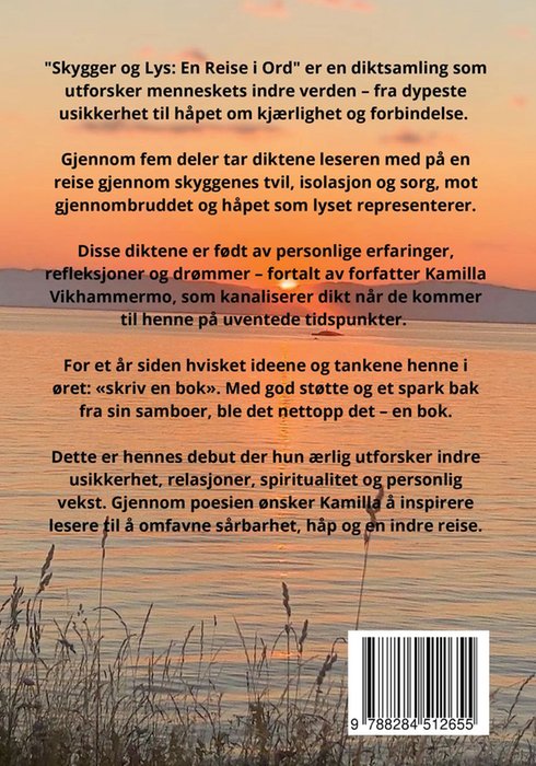 Skygger og lys – bilde 2