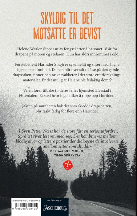 Skyldig – bilde 2