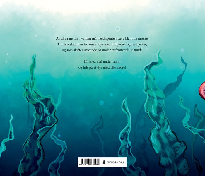 Blekksprut – bilde 2
