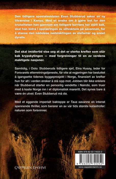 Taus savanne – bilde 2
