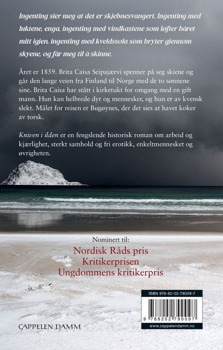Kniven i ilden