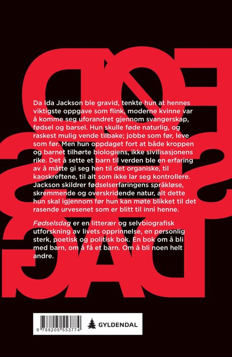 Fødselsdag – bilde 2