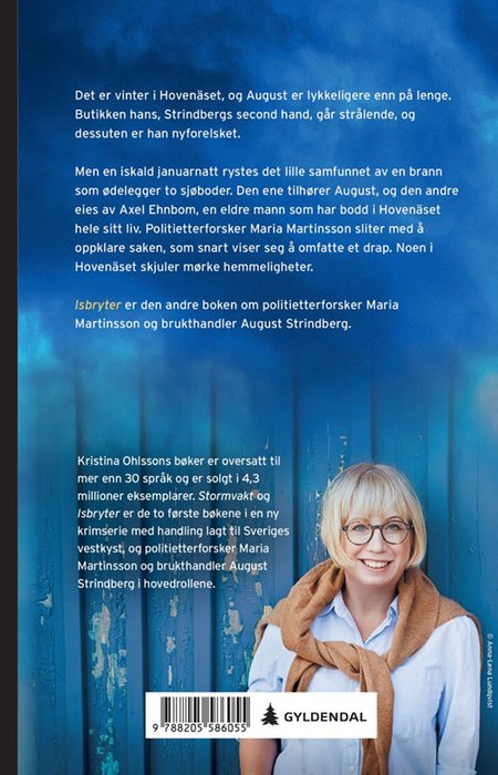 Isbryter – bilde 2