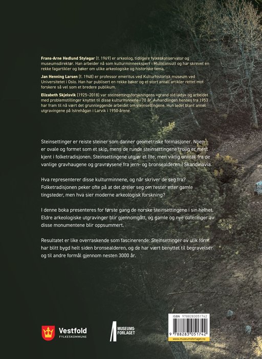 Steinskip og tingsteiner – bilde 2