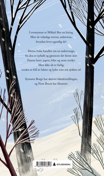 Rødrev – bilde 2