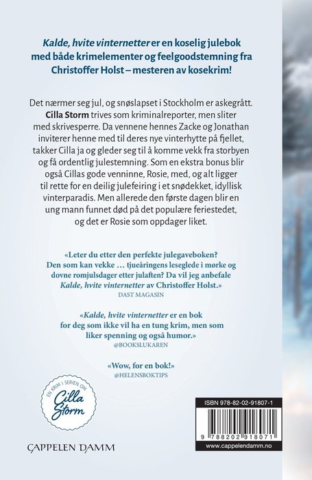 Kalde, hvite vinternetter – bilde 2