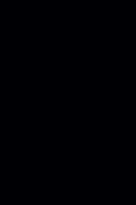 Kongetro – bilde 2