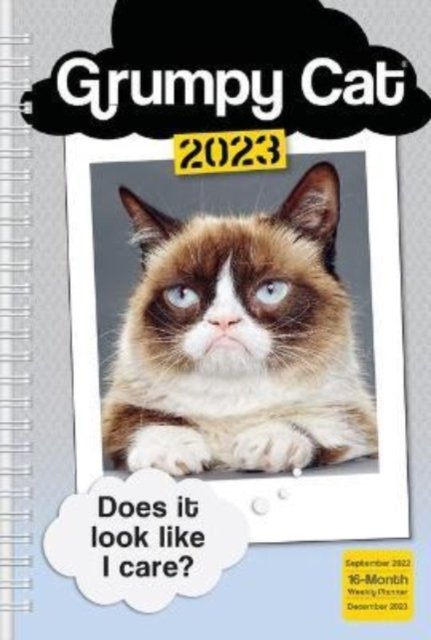 GRUMPY CAT