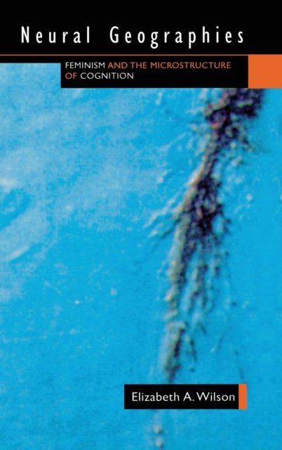 Neural Geographies