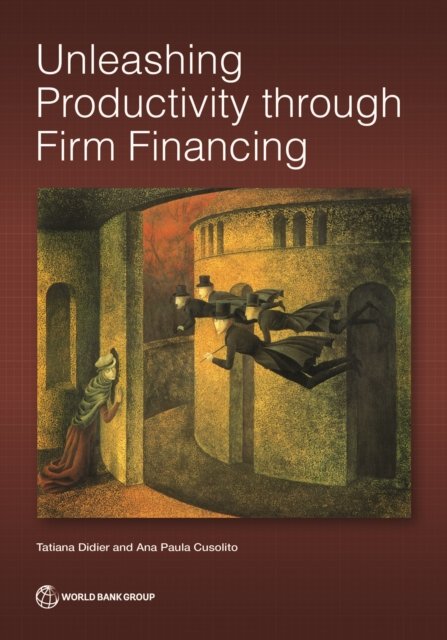 Unleashing Productivity Through Firm Financing