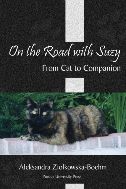 On the Road with Suzy