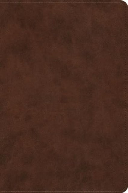 ESV Holy Bible – Dyslexia–Friendly Edition (TruTone, Brown)