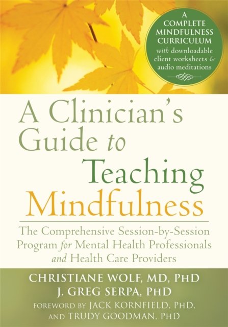 Clinician''s Guide to Teaching Mindfulness